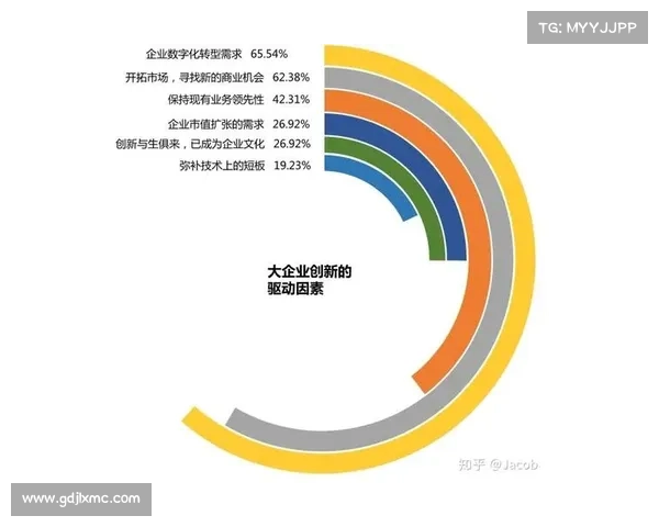 如何根据个人优势与市场需求选择最适合的职业路径与发展战术 如何根据个人优势与市场需求选择最适合的职业路径与发展战术